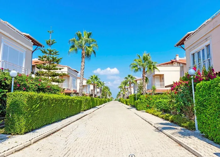 Paradise Town Beldora